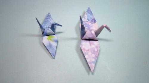 千纸鹤的制作过程（千纸鹤的制作过程怎么写50字）-图2