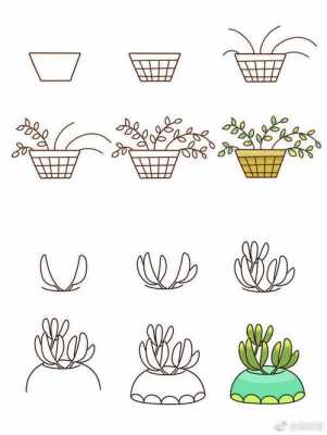 植物变化过程简易图（植物变化图片 简笔画）-图2