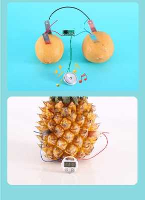 有关水果发电过程（水果发电生活中的应用）-图3