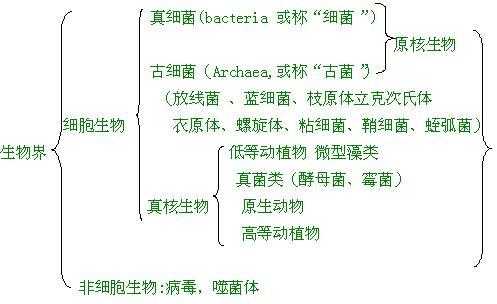 微生化过程（生化处理微生物种类）-图1