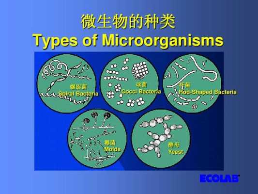 微生化过程（生化处理微生物种类）-图3