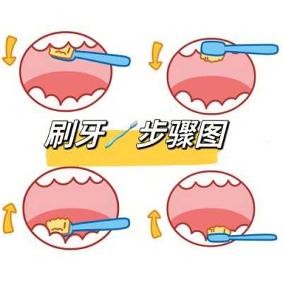 帮助孩子刷牙的过程（怎样给孩子刷牙视频）-图1