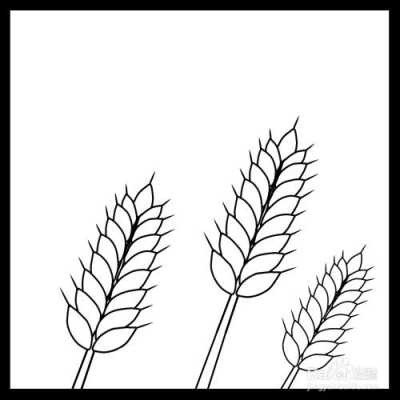 画麦子的过程（画麦子的过程怎么画）-图2