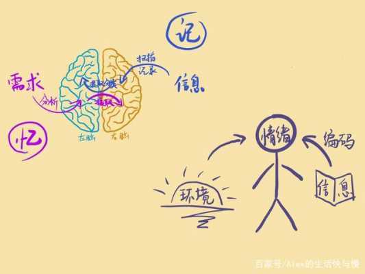大脑记忆过程的特点（大脑记忆的三大规律）-图1