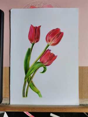 手绘彩铅花卉过程（手绘彩铅花卉过程视频）-图1