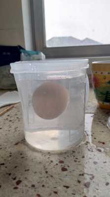 悬浮鸡蛋整个过程（悬浮鸡蛋的原理是什么）-图2