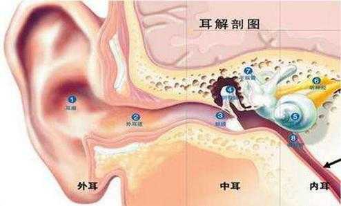 穿耳朵的整个过程（穿耳朵的整个过程视频）-图3