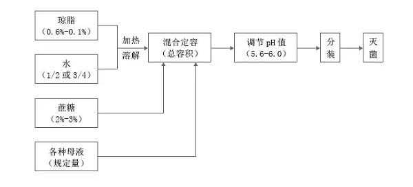 在培养基的配置过程（培养基的配置过程包括）-图2