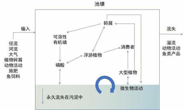 磷肥转换过程（磷肥折纯）-图1