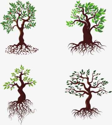 树木成长过程图（树木成长过程图怎么画）-图1