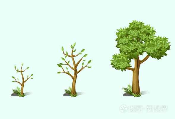 树木成长过程图（树木成长过程图怎么画）-图2