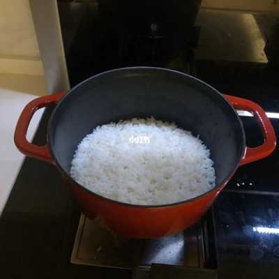 闷米饭过程（闷米饭怎么闷）-图2