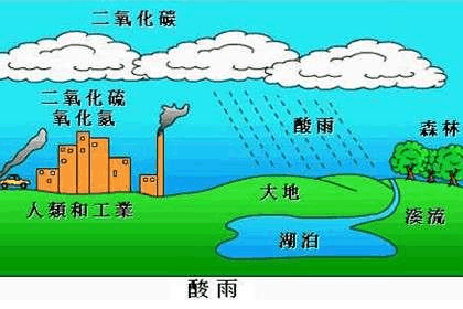 酸雨的实验过程（酸雨实验的变量是什么）-图3