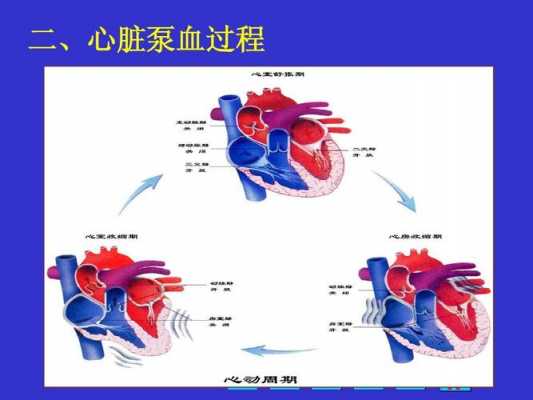 简述心脏泵过程（简述心脏的泵血过程有哪些阶段）-图3