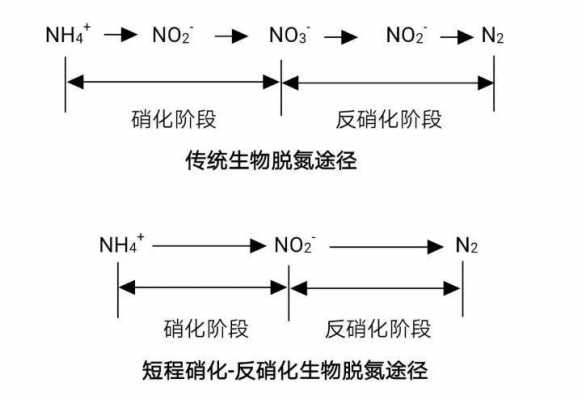 反硝化过程要多久（反硝化过程在什么条件下进行）-图1