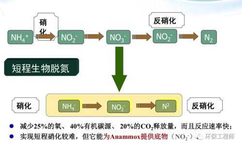 反硝化过程要多久（反硝化过程在什么条件下进行）-图2