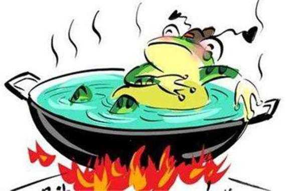 关于温水煮青蛙实验过程的信息-图3