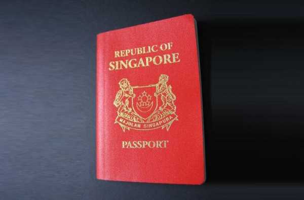 新加坡入籍过程（新加坡入籍过程需要多久）-图3