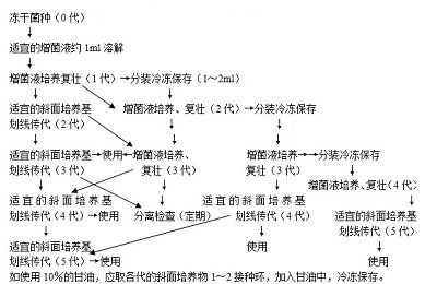 菌种生产的基本过程（简述菌种生产的基本过程）-图1