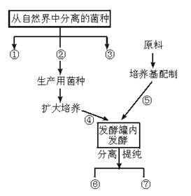 菌种生产的基本过程（简述菌种生产的基本过程）-图3