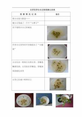 豆芽生产过程（豆芽生产过程表格）-图2