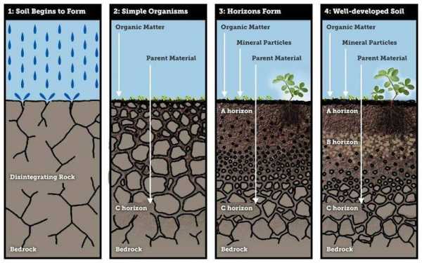 土壤蒸发的过程（土壤蒸发过程的特点）-图1