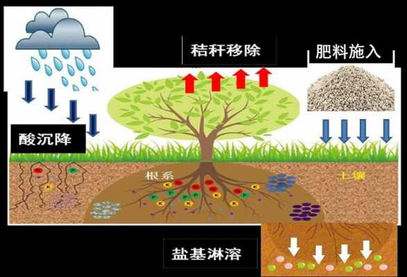 土壤蒸发的过程（土壤蒸发过程的特点）-图2