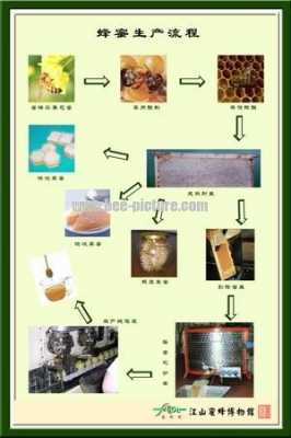 蜂蜜的制备过程（蜂蜜的制备过程图片）-图1