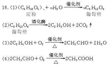 淀粉醇解过程（淀粉水解流程图）-图3