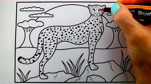 怎样画豹子过程（豹子怎么画才好看）-图2