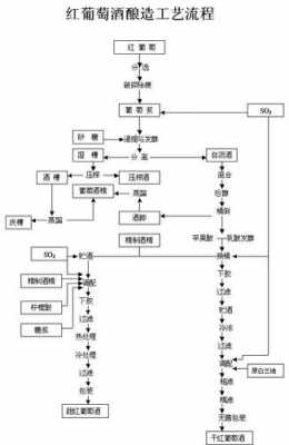 酒厂红酒酿制过程（红酒酿造流程）-图3
