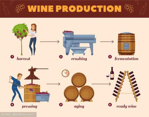酒厂红酒酿制过程（红酒酿造流程）-图2