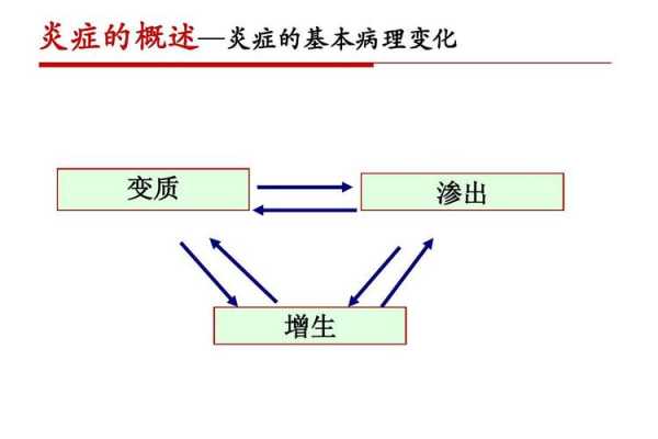 病理演变过程（病理演变过程包括）-图3