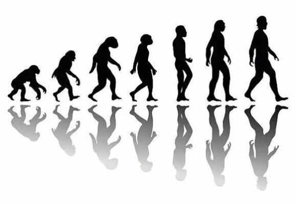 男性女性的进化过程（男人女人进化历史）-图3