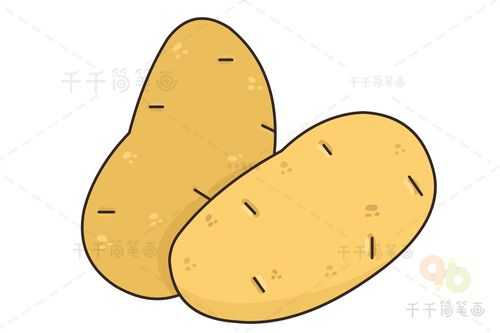 土豆水培过程简笔画（土豆水培法）-图3