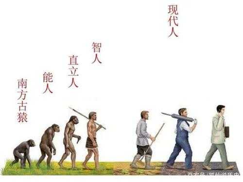 人的进化过程搞笑（人的进化史是怎样的视频）-图1