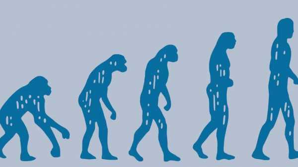 人的进化过程搞笑（人的进化史是怎样的视频）-图3