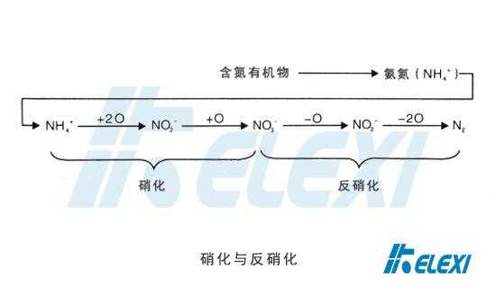 )硝化过程（硝化过程只发生了氮的转化,没有氮的去除）-图2