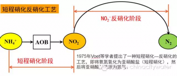 )硝化过程（硝化过程只发生了氮的转化,没有氮的去除）-图3