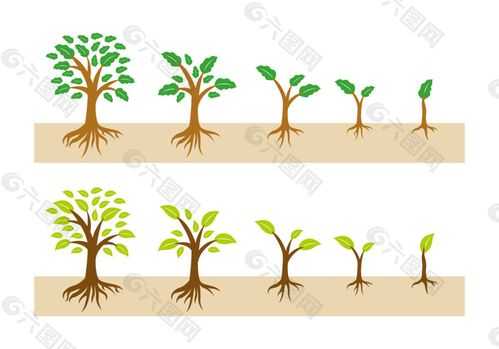 树生长过程画（树生长过程画画图片）-图2
