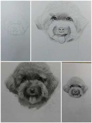 画狗过程素描（如何画一只狗素描）-图2