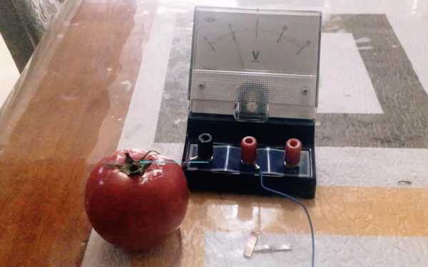西红柿电池实验过程（西红柿电池实验现象）-图3