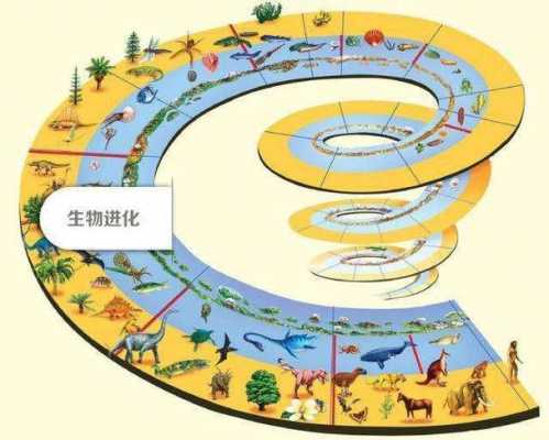 地球进化过程图（地球进化过程图解）-图3