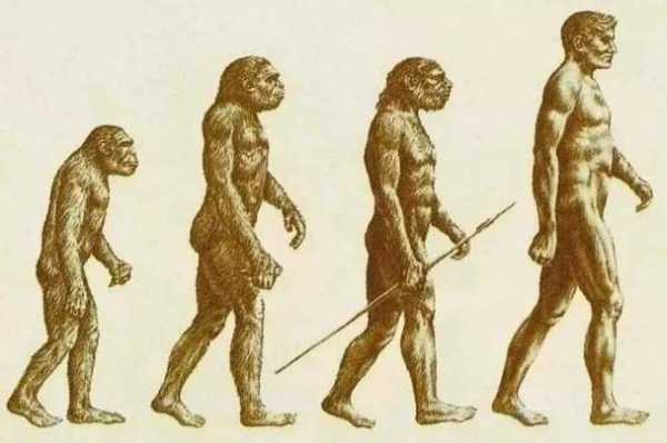 本质进化过程（本质进化过程的变化）-图3