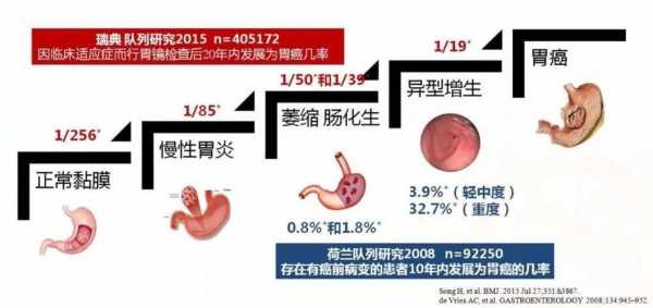 胃病到胃癌的过程（胃病成胃癌的概率）-图1