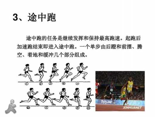 短跑运动的过程（短跑的过程是由什么组成的）-图2