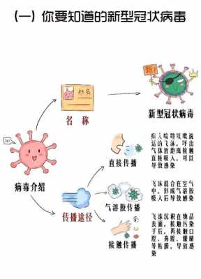 新型病毒传染的过程（新型冠状病毒传染的过程）-图1