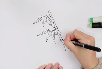 画竹子过程（画竹子怎么画简单又漂亮）-图1