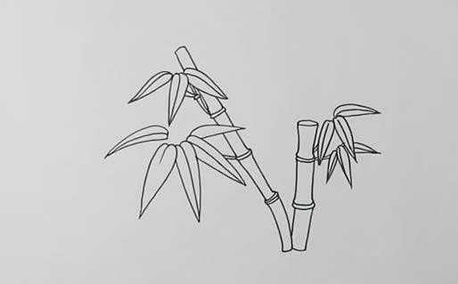 画竹子过程（画竹子怎么画简单又漂亮）-图3