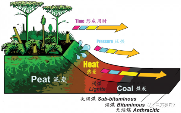 煤炭泥化的过程（煤泥是怎么形成的）-图2